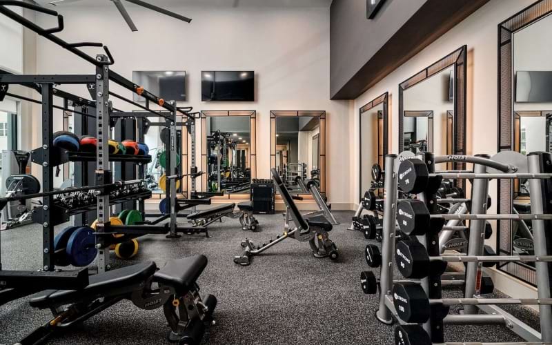 two story gym with ample gym equipment 