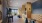 a game room with a wood floor and shuffleboard